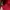 Trackpants Adidas Red Scarlet Cw  photo 4