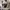 CROSSTOWN 3D PATTERN SWEATER KNIT photo 6