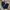 Longpants Jeans Selvedge Indigo Blue 26Oz Carnivores Soul photo 1