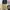 BRAND UNKNOWN KHAKI WIDE PANTS  photo 1