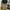 BRAND UNKNOWN KHAKI WIDE PANTS  photo 3