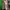 Qna size 2 photo 2