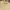 Polo Ralph Lauren Streetwear Casual Polo Shirt Pria Yellow