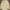 Polo Ralph Lauren Streetwear Casual Polo shirt Pria yellow photo 3