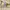 Polo Ralph Lauren Streetwear Casual Polo shirt Pria yellow photo 7
