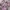 Celana jeans Realtree pink photo 3