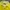 Zara Sportswear Casual shirt Pria yellow photo 4