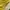 Zara Sportswear Casual shirt Pria yellow photo 6