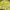 Zara Sportswear Casual shirt Pria yellow photo 7
