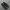 nike v2k runtek photo 3