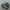 nike v2k runtek photo 1