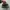 nike v2k runtek photo 4