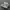 nike af1  photo 1