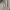 Carhartt Loose fit - crewneck sweatshirt photo 2