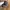 Sepatu Kulit Cardinal Slip On Ori 100% photo 3