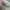 TAS STITCH photo 7