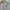 TAS STITCH photo 6