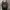 HIERARCHY STUDIOS Spellbound - Black Wicked Wide Oversized M photo 1