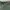 Vintage Streetwear Pria green photo 4