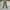 Vintage Streetwear Pria green photo 1