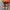 Converse 70s Hi Crimson photo 5