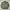 Vintage Streetwear Denim jacket Pria green photo 1