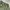Vintage Streetwear Denim jacket Pria green photo 3