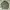 Vintage Streetwear Denim jacket Pria green photo 4