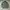 Vintage Streetwear Denim jacket Pria green photo 1