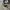 Converse Allstar Hi Camo Back Zipper photo 1