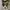 Converse Allstar Hi Camo Back Zipper photo 5