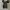 Converse Allstar Hi Camo Back Zipper photo 7
