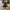 Converse Allstar Hi Camo Back Zipper photo 6