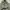Vintage Streetwear Parka Pria green photo 4
