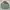 Vintage Streetwear Parka Pria green photo 1