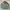 Vintage Streetwear Parka Pria Green