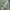 Vintage Streetwear Parka Pria green photo 4