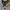 Converse Allstar Hi Black White photo 4