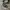 Converse Allstar Hi Black White photo 1