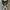 Converse Allstar Hi Black White photo 4