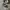 Converse Allstar Hi Black White photo 1
