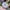 Jam Minnie Mouse Disney Lorus Jumbo photo 3