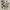 Cosplay Minimalist Wanita multicolor photo 1