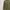 Hedi Slimane Dior Homme Jacket Army  photo 7