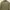 Hedi Slimane Dior Homme Jacket Army  photo 6