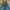 Guess Jeans Overall photo 4