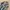 Andersson Bell Streetwear Casual Casual shirt Pria green blue photo 2