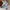 Andersson Bell Streetwear Casual Casual shirt Pria green blue photo 6