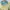 One set puffy butter yellow y2k kawai vintage eyecatching  photo 7