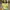 One set puffy butter yellow y2k kawai vintage eyecatching  photo 2